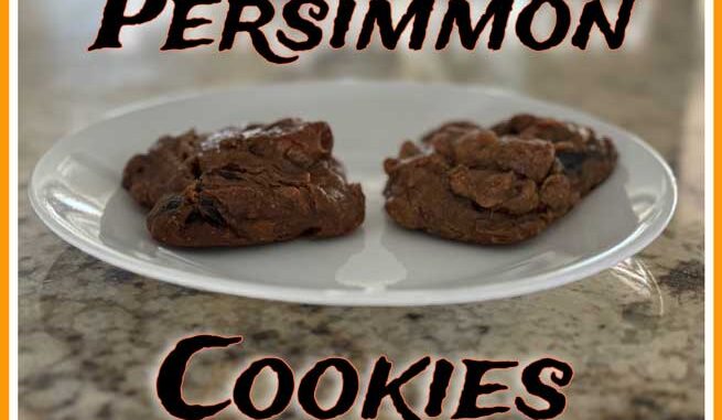 persimmon cookies